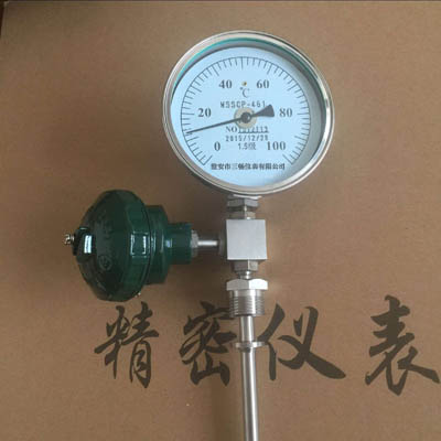 一體化帶遠(yuǎn)傳溫度計(jì)WTY-1031